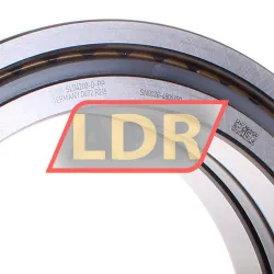 INA SL04200-D-PP rulman resim 2