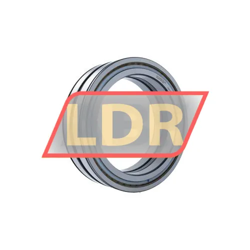 INA SL04200-D-PP-2NR