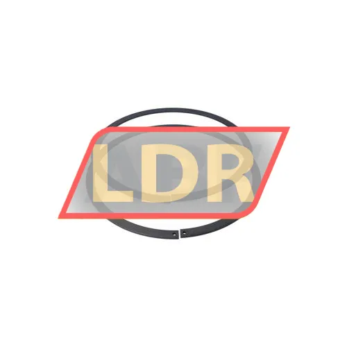 INA SL04200-D-PP-2NR ürün fotoğrafı 3
