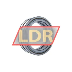 INA SL04200-D-PP-2NR