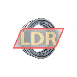 INA SL04200-D-PP-2NR rulman resim 2