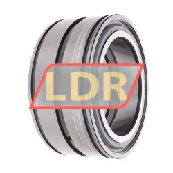 INA SL045030-D-PP rulman resim 3