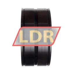 INA SL045030-D-PP rulman resim 4