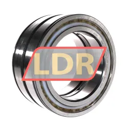 INA SL045024-D-PP