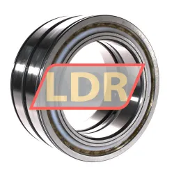 INA SL045024-D-PP rulman resim 3
