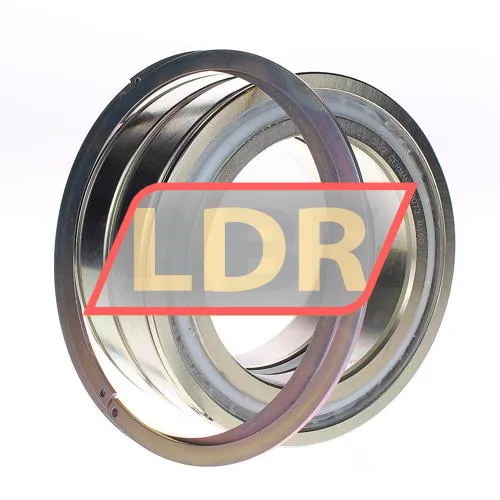 INA SL045024-D-PP-2NR-C3-GA22