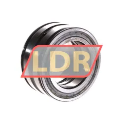 INA SL045010-PP-C2