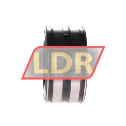 INA SL045010-PP-C2 rulman resim 2