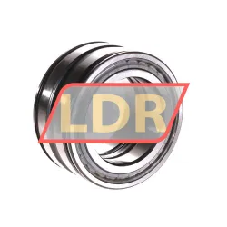 INA SL045010-PP-C2 rulman resim 3
