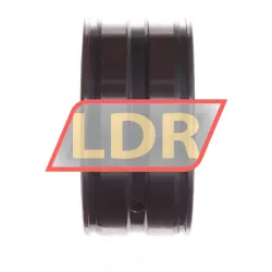 INA SL045010-2Z rulman resim 3
