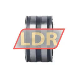 INA SL045007-PP rulman resim 3