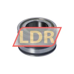 INA SL045007-PP rulman resim 4