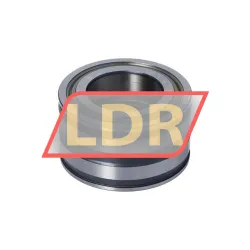 INA SL045007-PP rulman resim 5