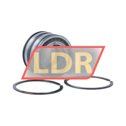 INA SL045006-PP-2NR-C3-L091