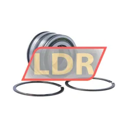INA SL045006-PP-2NR-C3-L091 rulman resim 2