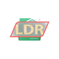 INA SL045006-PP-2NR-C3-L091 rulman resim 3