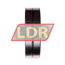 INA SL184922-A rulman resim 2
