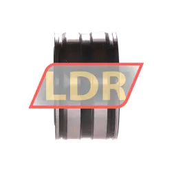 INA SL045007 rulman resim 2