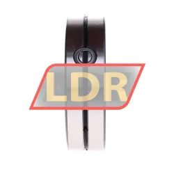 INA SL014916-A rulman resim 2