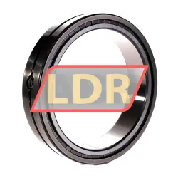 INA SL014830-A rulman resim 3