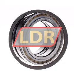 INA SL045020-D-PP-2NR