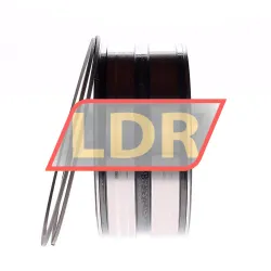 INA SL045020-D-PP-2NR rulman resim 2