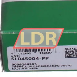 INA SL045004-PP rulman resim 4