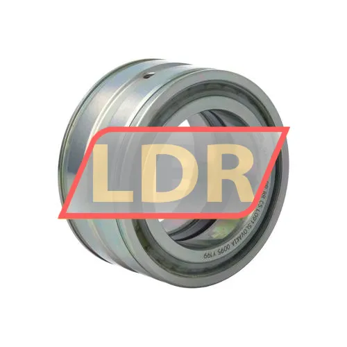 INA SL045010-PP-RR-C5-L091
