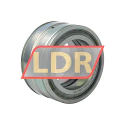 INA SL045010-PP-RR-C5-L091