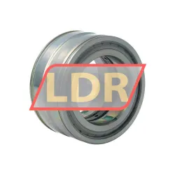 INA SL045010-PP-RR-C5-L091 rulman resim 2