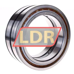 INA SL04140-D-PP