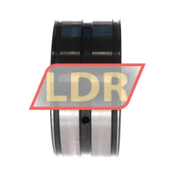 INA SL045020-D rulman resim 2