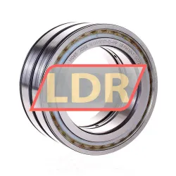 INA SL045017-D-PP