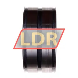INA SL045017-D-PP rulman resim 2