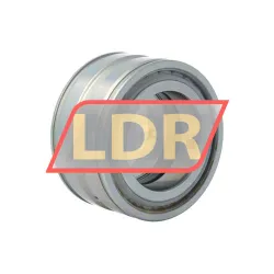 INA SL045009-PP-RR rulman resim 2