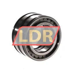 INA SL045009-C3