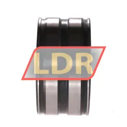 INA SL045009-C3 rulman resim 2
