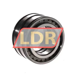 INA SL045009-C3 rulman resim 3