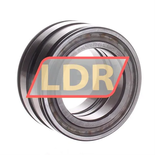 INA SL045010-PP-C3