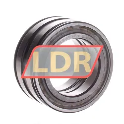 INA SL045010-PP-C3