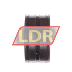 INA SL045010-PP-C3 rulman resim 2