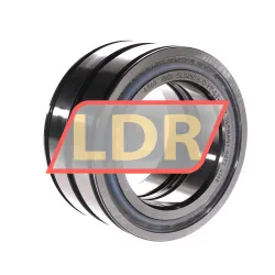 INA SL045016-D-PP-C3-GA22