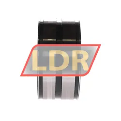 INA SL045016-D-PP-C3-GA22 rulman resim 2