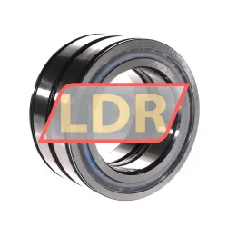 INA SL045016-D-PP-C3-GA22 rulman resim 3