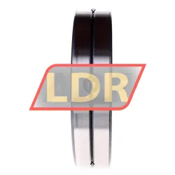 INA SL014834-A-C3 rulman resim 2