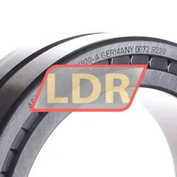 INA SL184920-A rulman resim 2