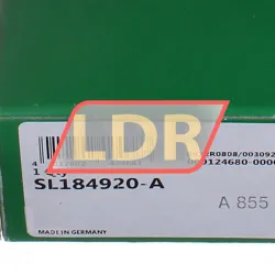 INA SL184920-A rulman resim 5