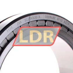 INA SL184930-A rulman resim 2