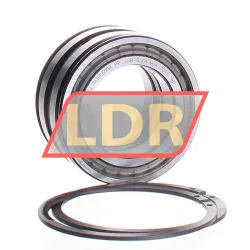 INA SL045009-PP-2NR