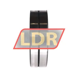 INA SL014924-A rulman resim 2